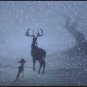 Bambi Falls In Love Super 8 8mm 5 inch Film Animation New Sealed