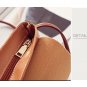 Luxury Hasp mini Handbags Brands female (Color Message )