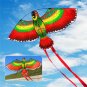 Red Parrots Kite Single Line Breeze Outdoor Flying Coolest Toy