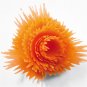 Kitchen Cutter Plastic Spiral Slicers Peeler Fruits