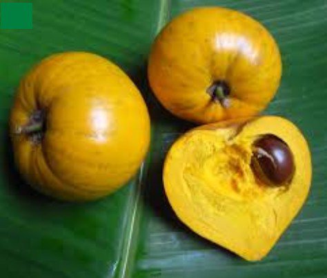 3 Pcs Lucuma Nervosa Egg Yolk Fruit