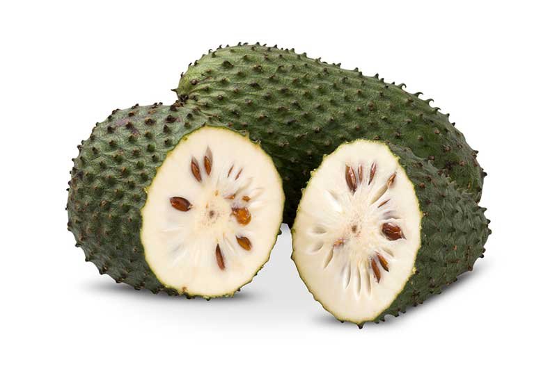 Graviola Fruit Kills Malignant Cells Cancer fruit plant Graviola Fruit Kills Malignant Cells Cancer fruit plant