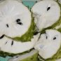 Graviola Fruit Kills Malignant Cells Cancer fruit plant