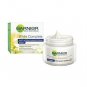 Garnier Skin Naturals White Complete Night Cream - 40gm