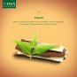 Jiva Ayurveda Neem Shampoo 200ml x 2 (Pack of 2)