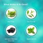 Greenberry Organics Detox Activated Charcoal & Tea Tree Oil Body Wash Gel 200ml