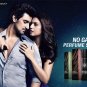 Wild Stone Perfume Body Spray For Men, Stone (120ml)