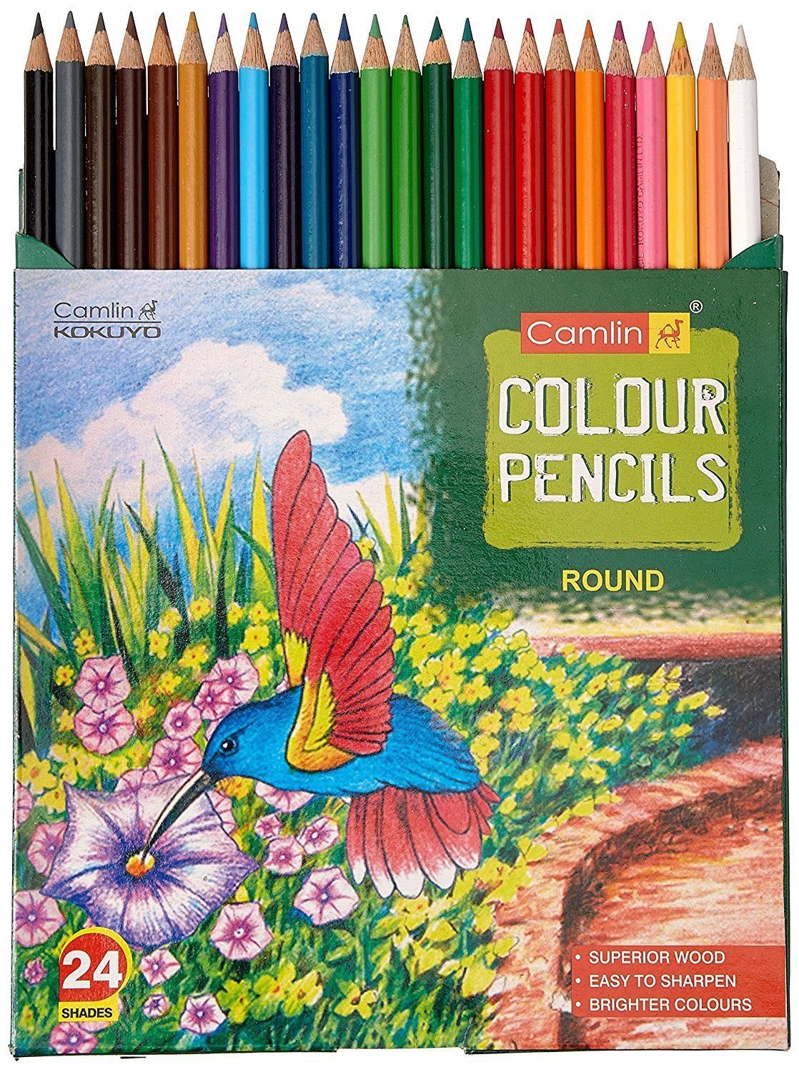 Camlin Premium Full Size Colour Pencil 24 Shades