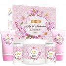 Richfeel Lily and Jasmine bleach Cream kit - 320g
