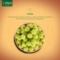 Jiva Ayurveda Amla shampoo 200ml x 2 (Pack of 2)