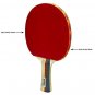 Stag 2 Star Table Tennis Racquets (Set of 2 Racquets)