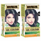 Indus Valley Herbal, Natural Gel Hair Color Black 190gm x 2 (Pack of 2)