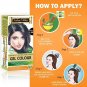 Indus Valley Herbal, Natural Gel Hair Color Black 190gm x 2 (Pack of 2)
