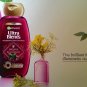 Garnier Ultra Blends Henna Blackberry Nourishing Shine Shampoo + Conditioner