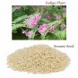 BodyHerbals Ancient Ayurveda Anti Hair Fall Neelibringadi Hair Oil (200ml)