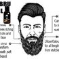 UrbanGabru Beard Oil - 30ml x 2 (Pack of 2)