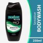 Palmolive Men Sensitive Body Wash 250ml x 2 (Pack of 2)