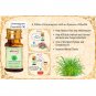 St.Botanica Lemongrass Pure Aroma Essential Oil - 10ml x 3 (Pack of 3)