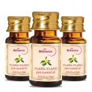 St.Botanica Ylang-Ylang Pure Aroma Essential Oil, 10ml x 3 (Pack of 3)