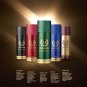 Denver Hamilton and Honour Deodorant Combo For Men 165ml Each (Pack of 2)