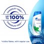 Head & Shoulders Cool Menthol Shampoo, 360ml