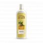 Ayush Anti Hairfall Bhringaraj Shampoo, 330ml