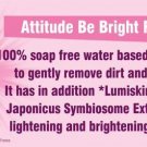 Amway Attitude Be Bright Face Wash 100ml