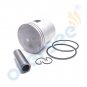 3PCS 6H4-11631 Piston & Rings & Pin Kit STD For Yamaha Outboard 2T 40 50HP 3 Cyl