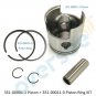 351-00001 Piston & 351-00011 Ring STD For Tohatsu Nissan Outboard M NS 9.9 15HP