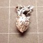 Silver Anatomical Heart Necklace