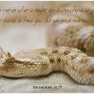 Genesis 4:7 Inspirational Christian 11" x 17" Poster-F10 Genesis 4:7 Inspirational Christian 11" x 17" Poster-F10