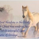 Liberty Horse Inspirational Christian 11" x 17" Poster-E21 Liberty Horse Inspirational Christian 11" x 17" Poster-E21