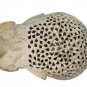 Handmade Sand Stone Undercut Trunk Down Carving Elephant