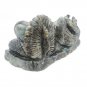 Buddha Labradorite Stones Sleeping Buddha Statue Feng Shui Tibetan Buddha