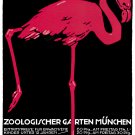 1057.German Zoological Art Flamingo POSTER.Graphics to decorate home office. 1057.German Zoological Art Flamingo POSTER.Graphics to decorate home office.