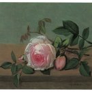 1245 Pink Rose Floral Art Decoration POSTER.Graphics to decorate home office.