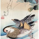 600.Lovley Birds Asian wall Art Decor POSTER.Graphics to decorate home office. 600.Lovley Birds Asian wall Art Decor POSTER.Graphics to decorate home office.
