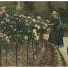 1182 Floral Garden wall Art Decoration POSTER.Graphics to decorate home office 1182 Floral Garden wall Art Decoration POSTER.Graphics to decorate home office