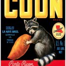 270.Art Decor POSTER.Graphics to decorate home office.Coon Sweet Potato cover Ad 270.Art Decor POSTER.Graphics to decorate home office.Coon Sweet Potato cover Ad