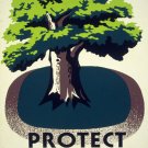 2210. Protect your Parks nature Painting Decoration POSTER. Home Graphic Design.