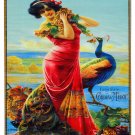 16x20"Poster Decor.Home Room Interior design.Girl flowers and peacock.10597 16x20"Poster Decor.Home Room Interior design.Girl flowers and peacock.10597