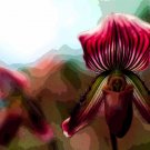 5448.Red and brown wild flower.budding by istself.POSTER.decor Home Office art 5448.Red and brown wild flower.budding by istself.POSTER.decor Home Office art