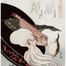 4309.Japanese images of fish and octopus.other fish.POSTER.decor Home Office art 4309.Japanese images of fish and octopus.other fish.POSTER.decor Home Office art