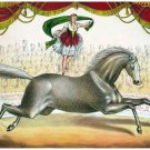 4480.Circus.woman jumping rope on moving horse.POSTER.decor Home Office art 4480.Circus.woman jumping rope on moving horse.POSTER.decor Home Office art
