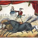 4494.Man and woman riding on two horses at circus.POSTER.decor Home Office art 4494.Man and woman riding on two horses at circus.POSTER.decor Home Office art