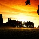 6582.Sunrise over forest.field.Orange yellow skies..POSTER.art wall decor 6582.Sunrise over forest.field.Orange yellow skies..POSTER.art wall decor
