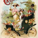 4187.Crosman Bros. Choice Flower seeds.Flower fest.POSTER.Home Office art decor