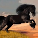 5491.Beautiful Black horse getting ready for jump.POSTER.decor Home Office art 5491.Beautiful Black horse getting ready for jump.POSTER.decor Home Office art
