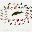 6141.Standard american black bass and lake flies.bait.POSTER.Home Office art