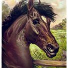 6124.Close up of horse standing in a greed field.POSTER.Home Office art 6124.Close up of horse standing in a greed field.POSTER.Home Office art